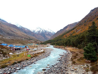 Booking With Travels Royal Himalayan